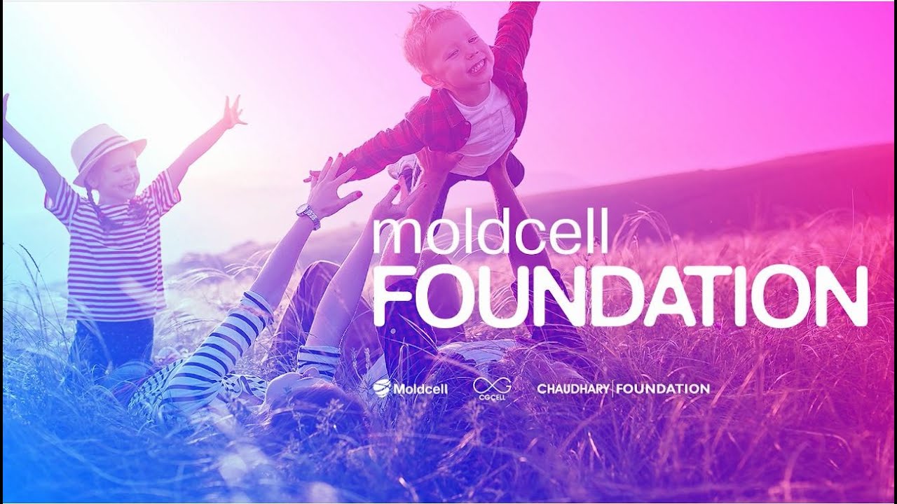 Moldcell Foundation Banner