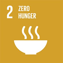 SDG