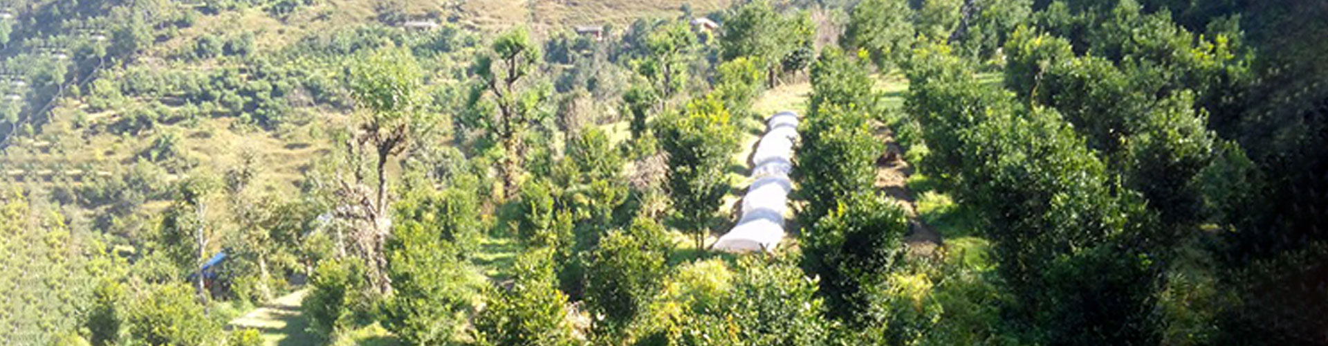 NSB in Dang & Daheldhura