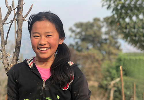 One brick at a time: Rebuilding Giranchaur